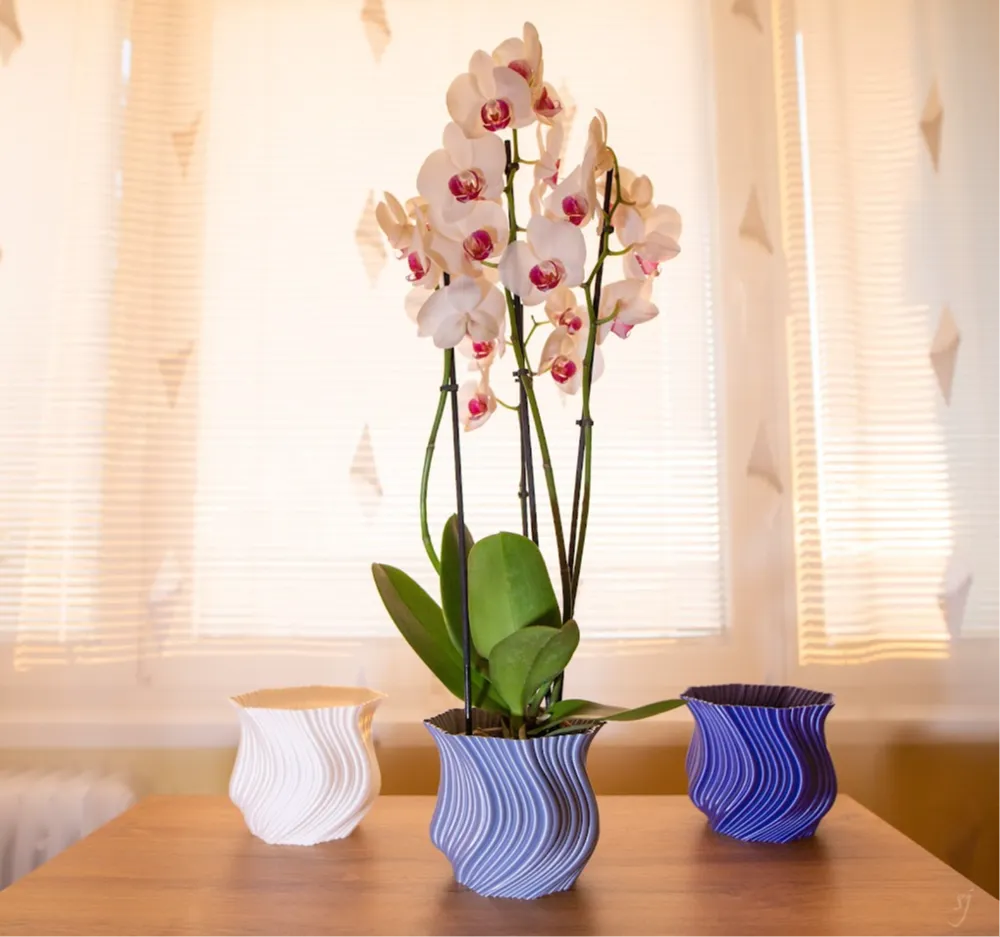 Orchidea flower pot